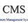 13 SEO Questions to Ask When Choosing Your Content Management System (CMS)